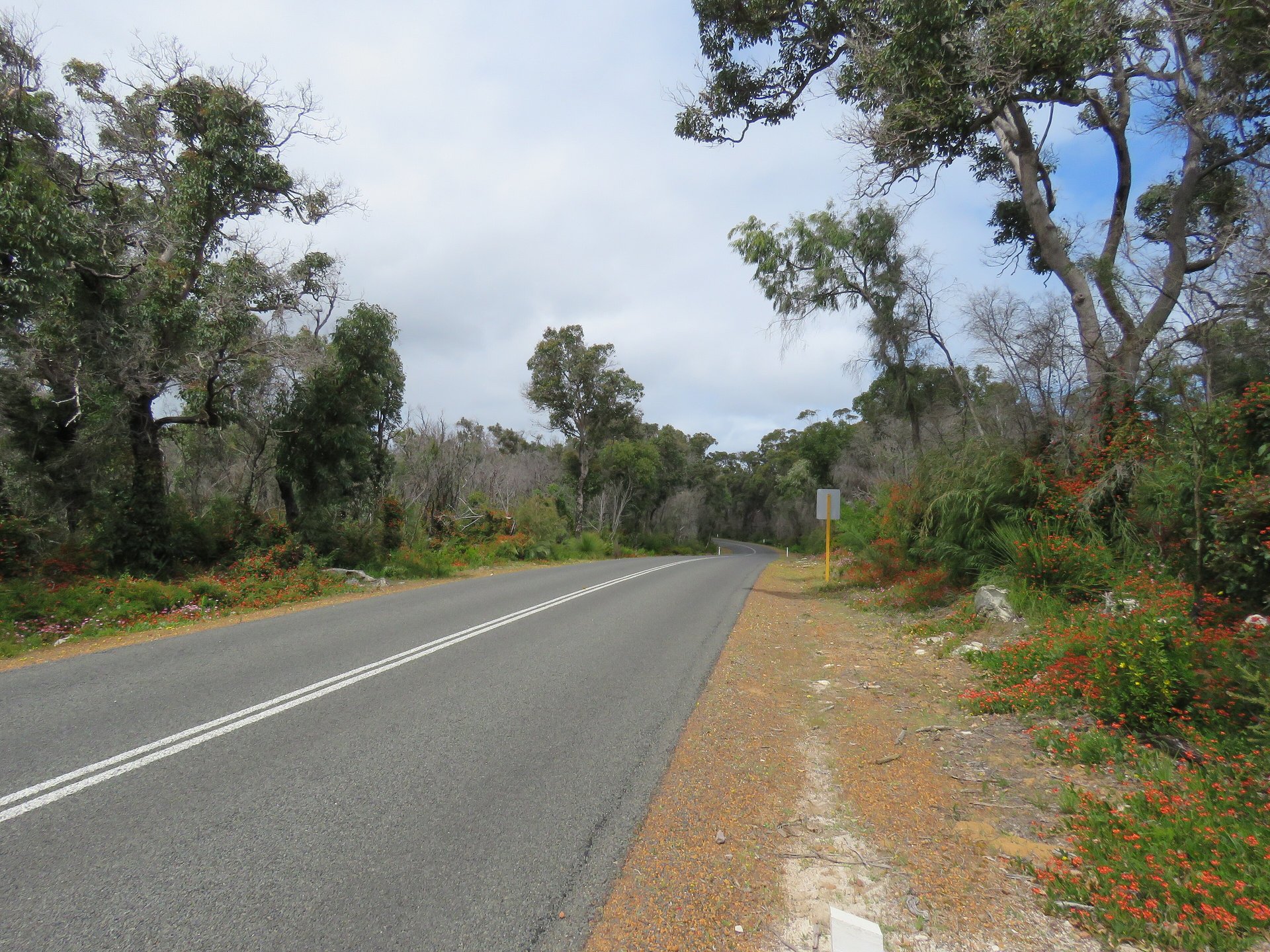 Margaret River & Caves Road