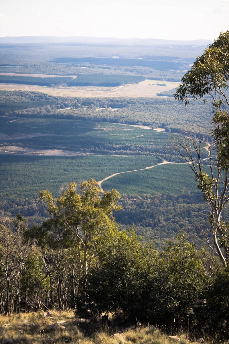 Tawonga Gap