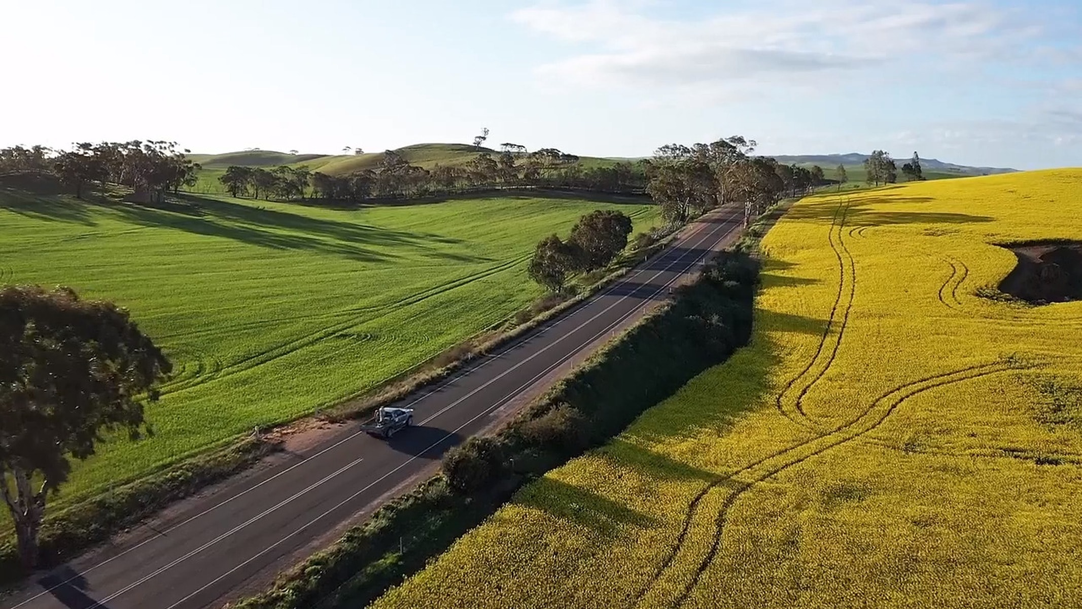 Gorge Road & Barossa Valley