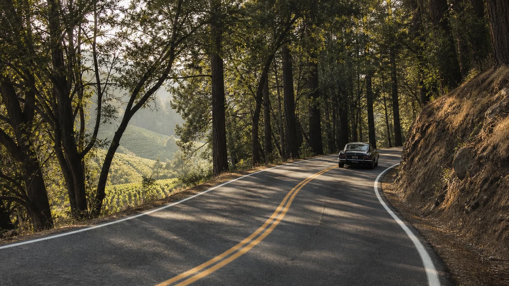 Oakville Grade and Trinity Road