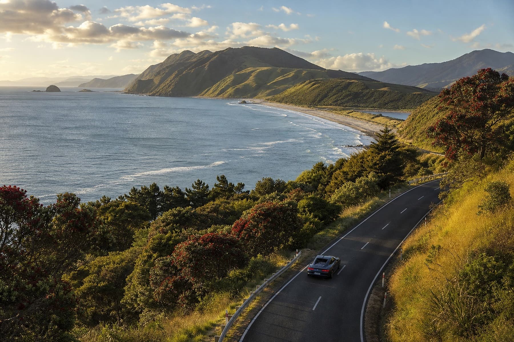 Coromandel Peninsula
