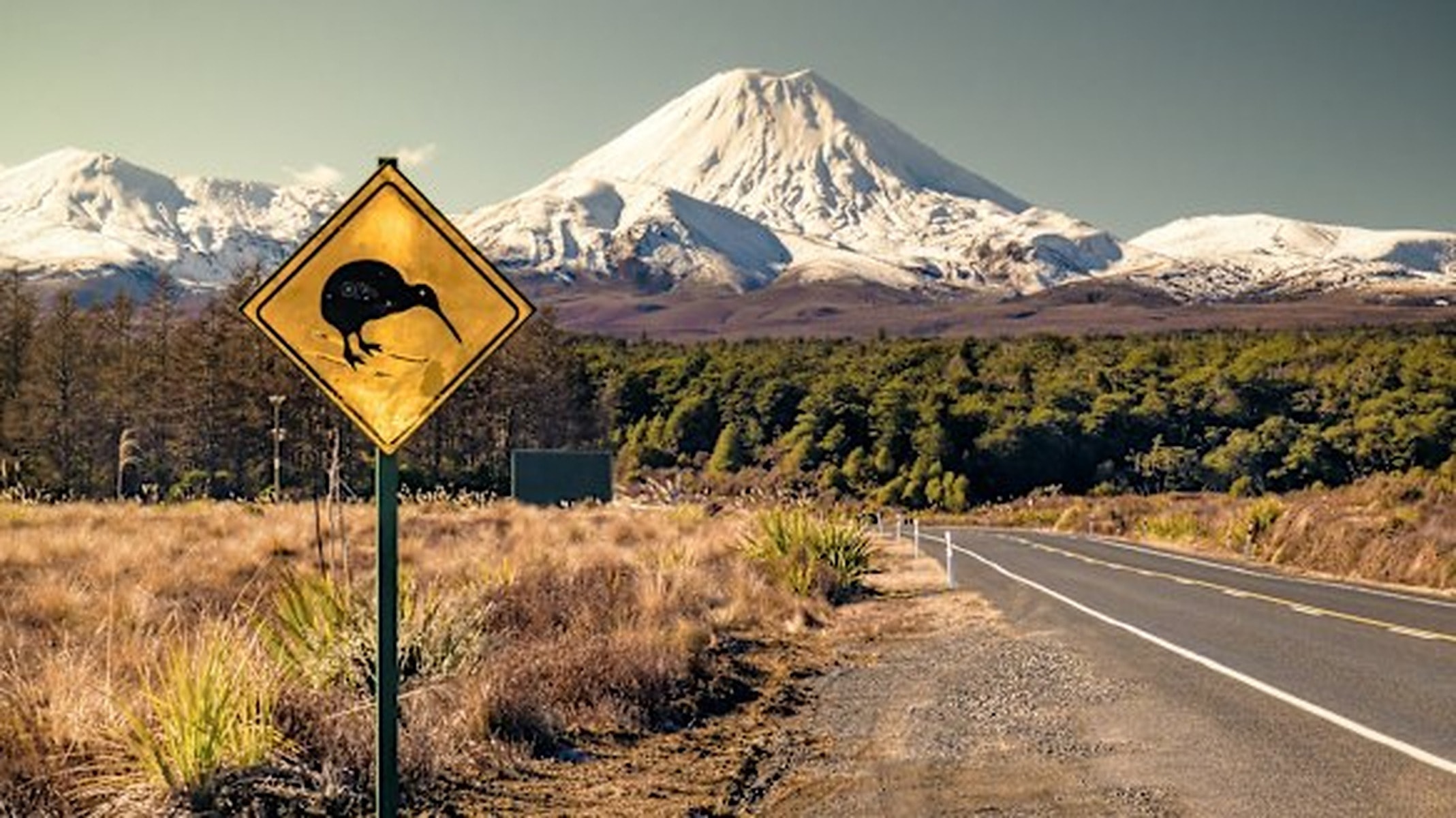 Volcanic Plateau & Desert Road