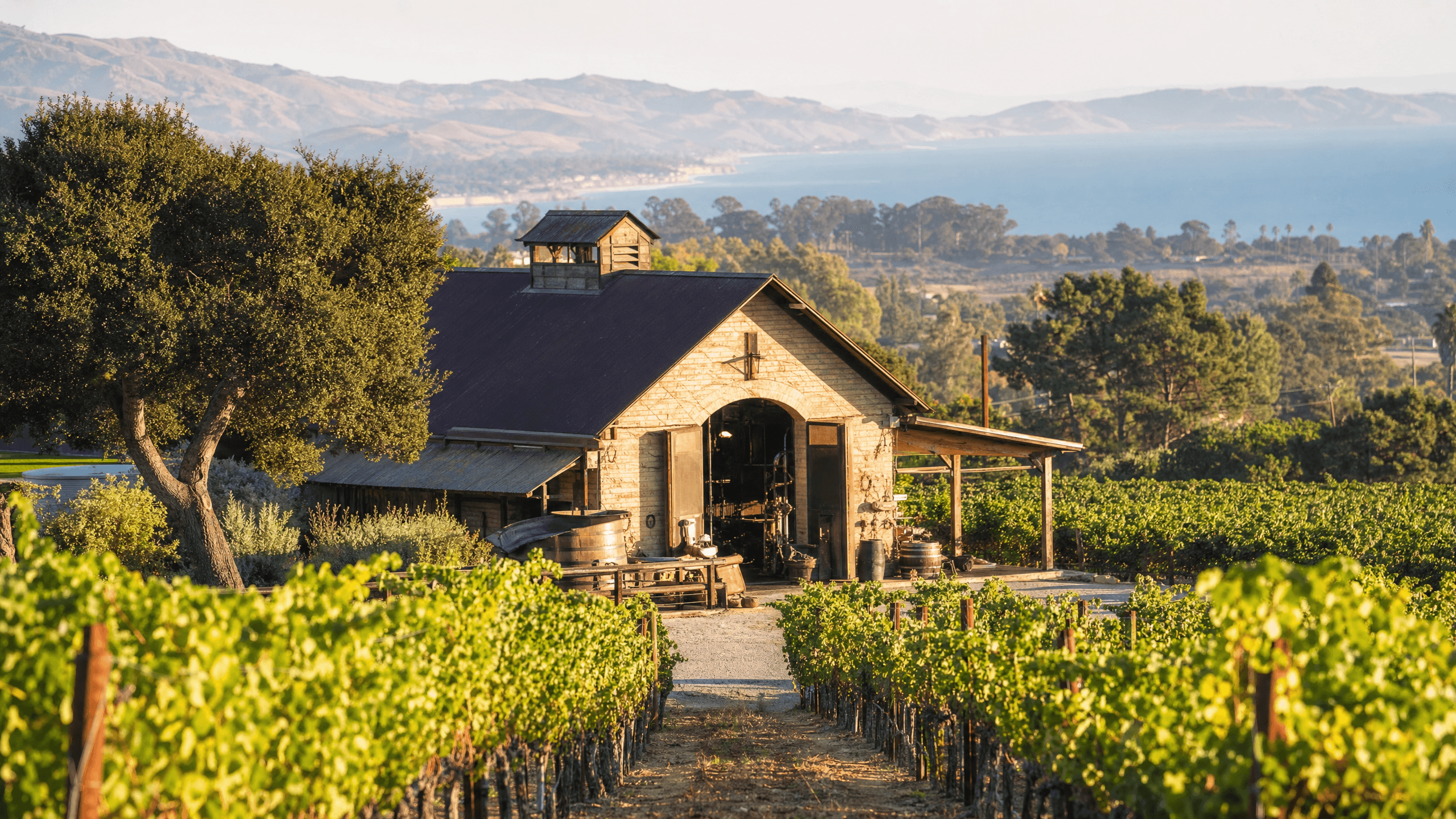 Foxen Vineyard & Winery: A Taste of History on the Santa Barbara Coast