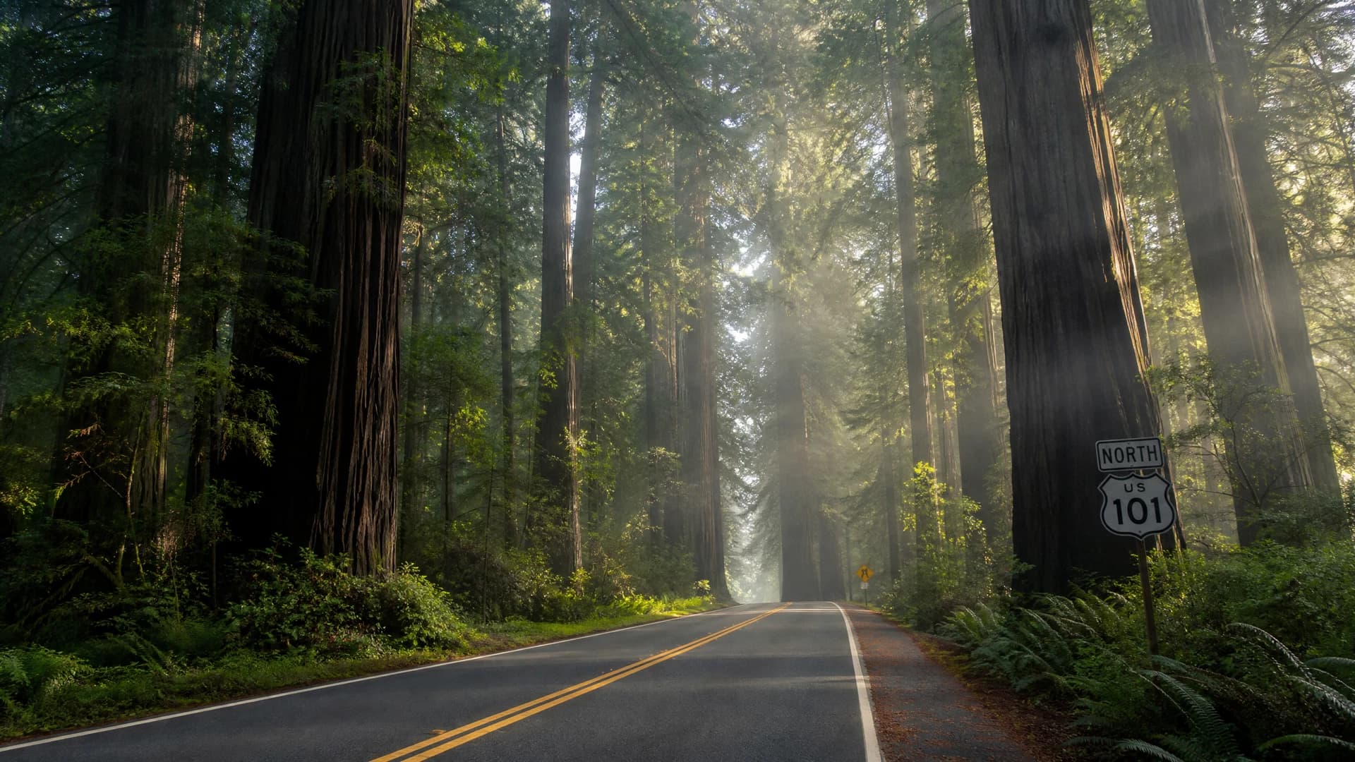 Anderson Valley to Benbow