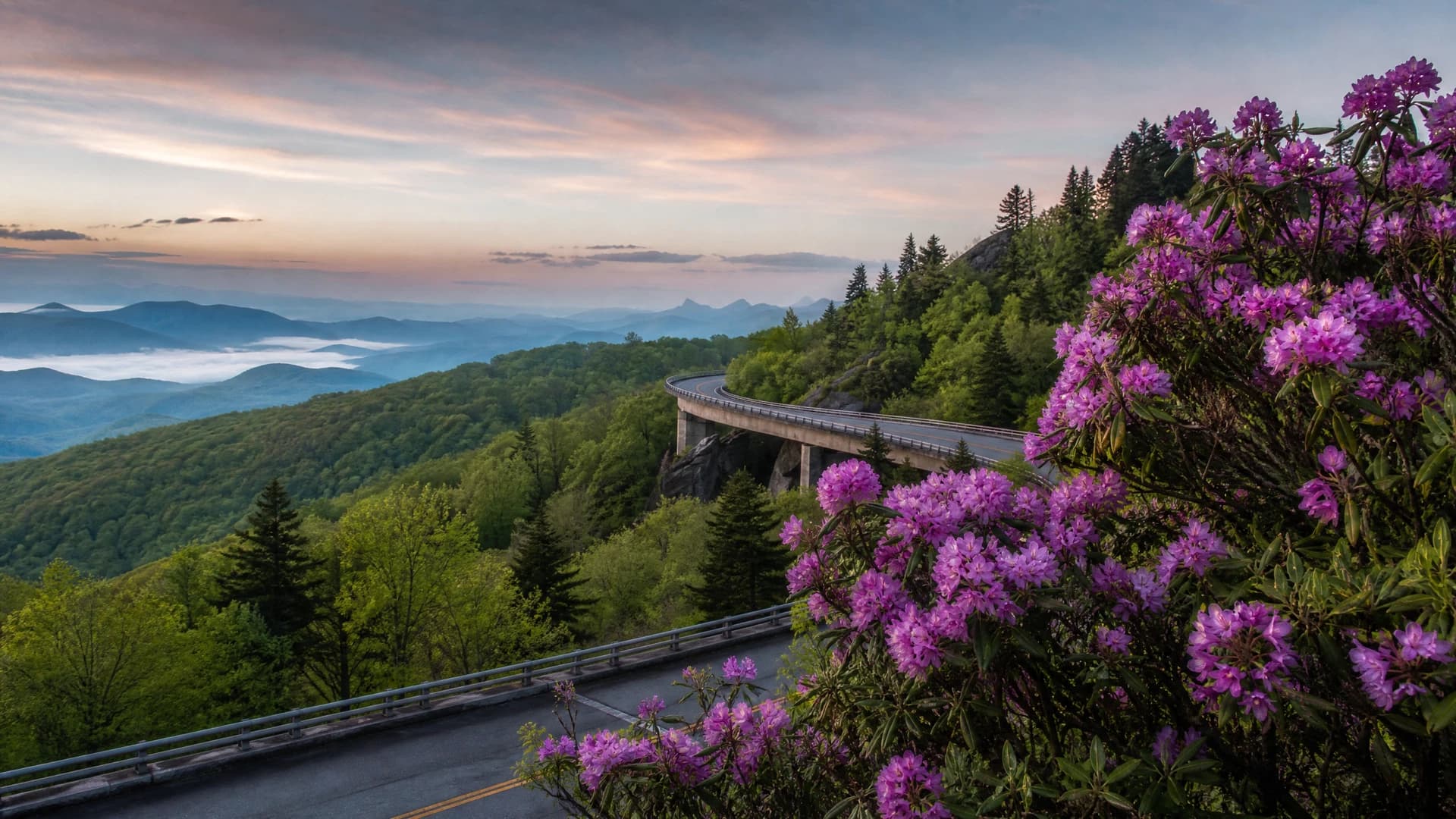 Asheville to Craggy Gardens