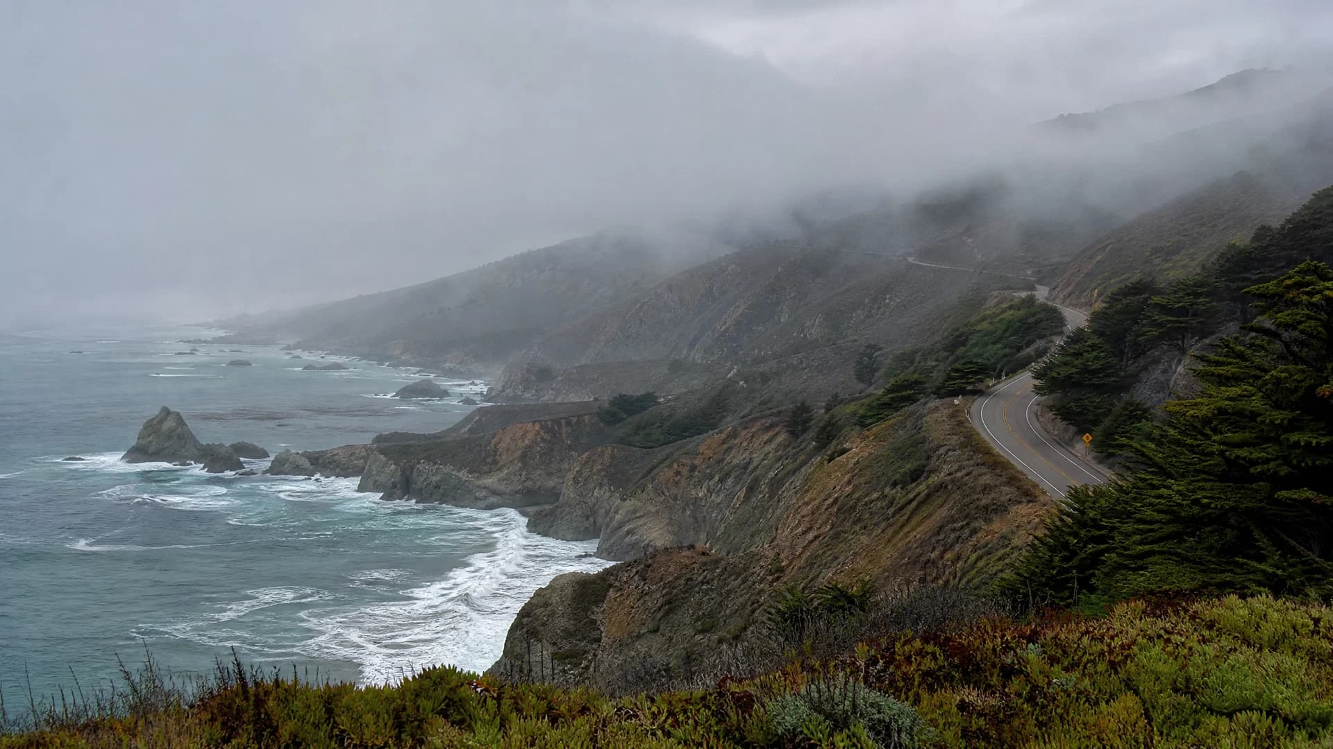 Mendocino Coast to Anderson Valley