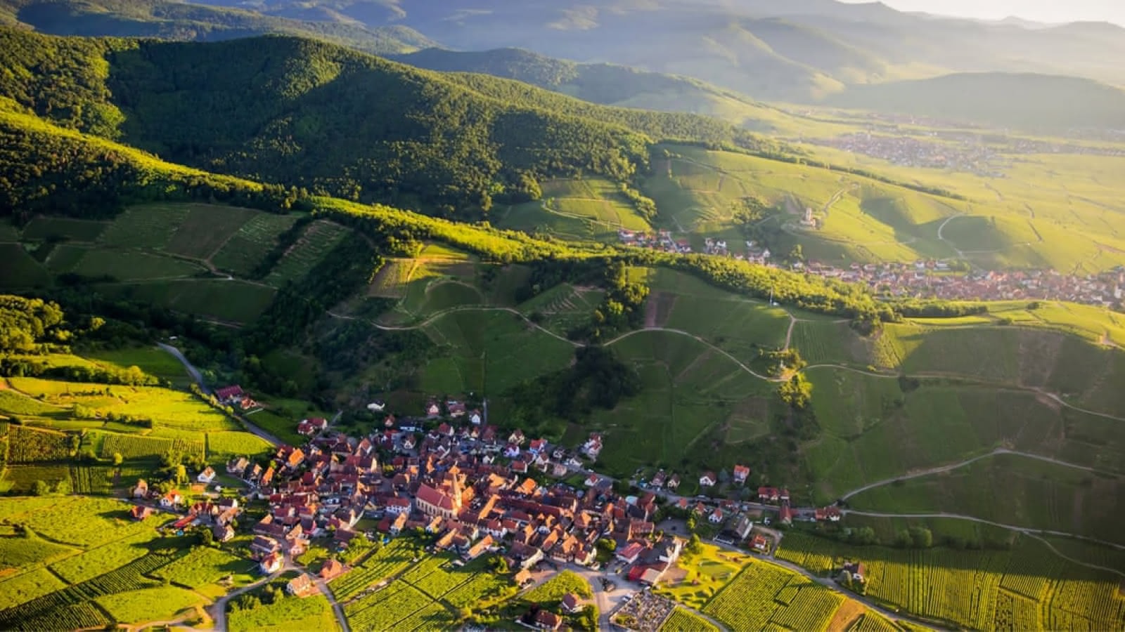 The road and landscape of Alsace Wine Route and Black Forest