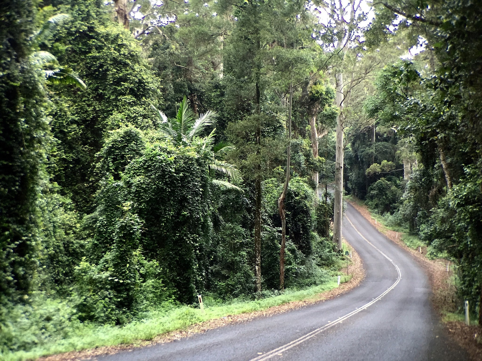 Where to Eat and Stay: Mt Nebo, Mt Glorious & Northbrook Parkway
