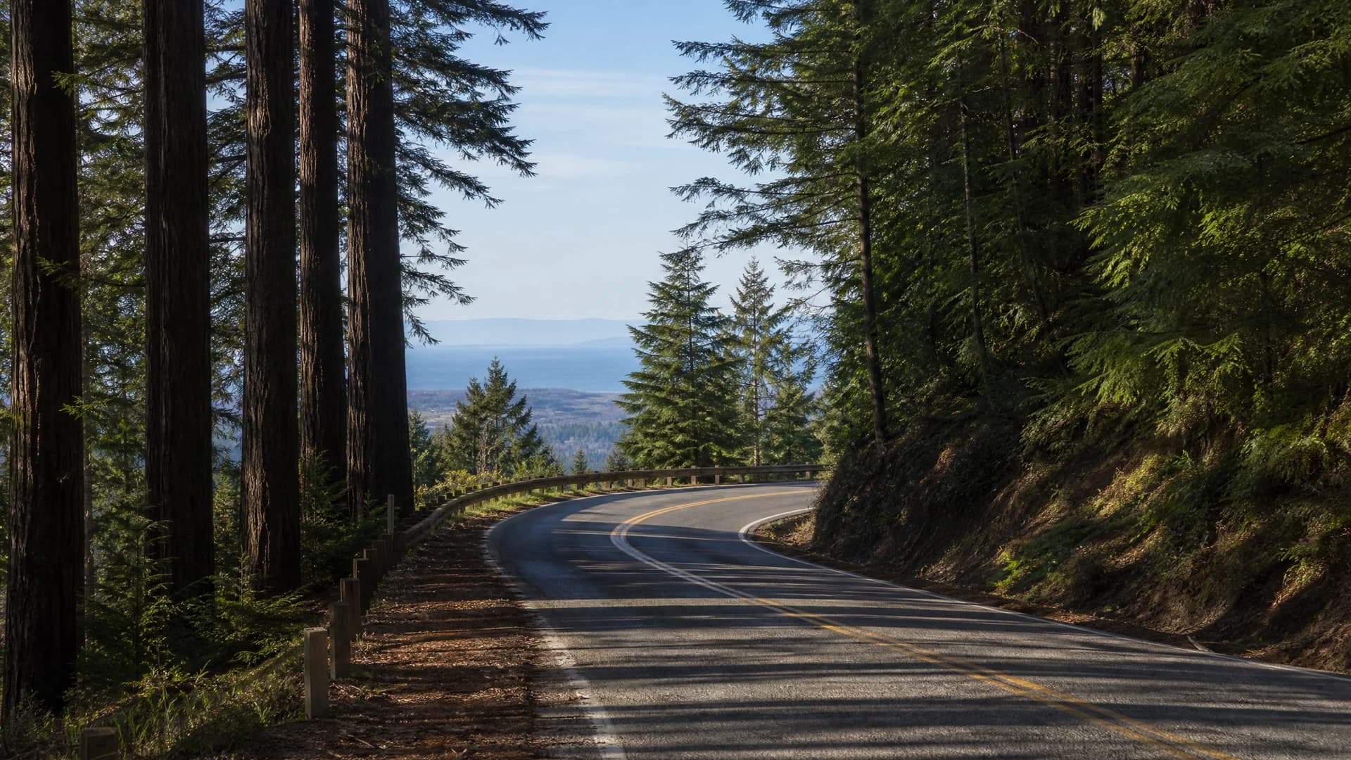 Half Moon Bay to Skyline Boulevard